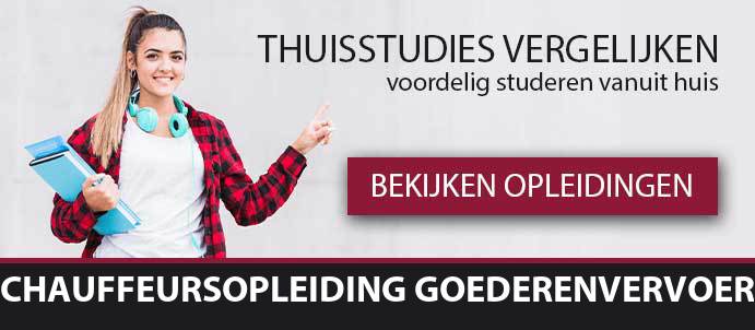 thuisstudie-beroepsopleiding-chauffeursopleiding-goederenvervoer