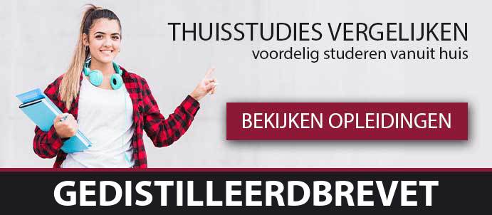 thuisstudie-beroepsopleiding-gedistilleerdbrevet