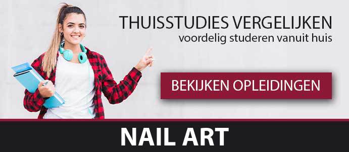 thuisstudie-beroepsopleiding-nail-art