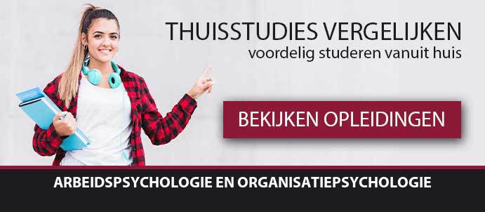 thuisstudie-cursussen-arbeids-en-organisatiepsychologie