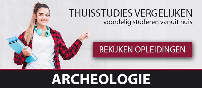 thuisstudie-cursussen-archeologie