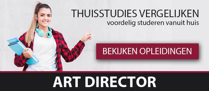 thuisstudie-cursussen-art-director