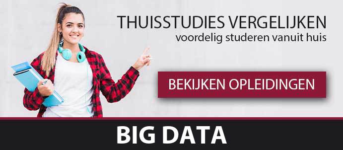 thuisstudie-cursussen-big-data