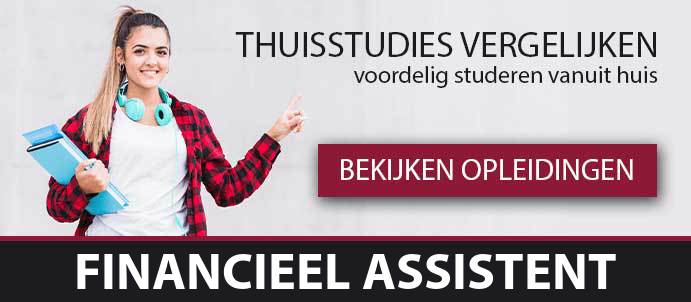 thuisstudie-cursussen-financieel-assistent