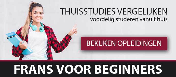 thuisstudie-cursussen-frans-voor-beginners