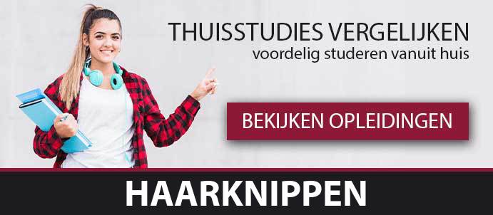 thuisstudie-cursussen-haarknippen