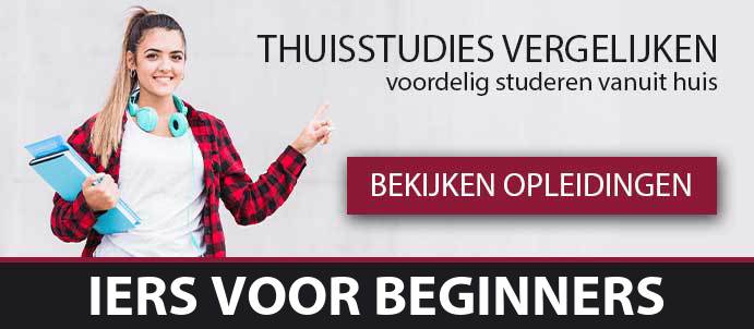 thuisstudie-cursussen-iers-voor-beginners