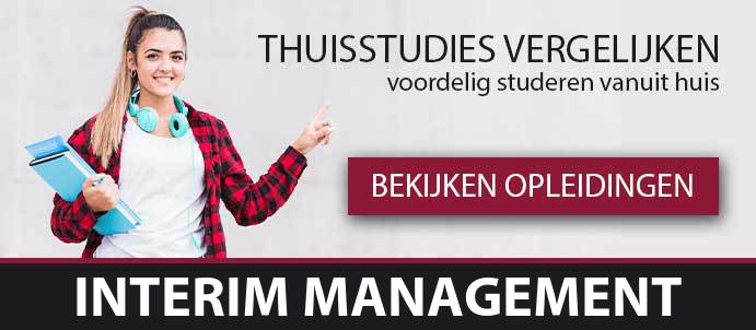 thuisstudie-cursussen-interim-management