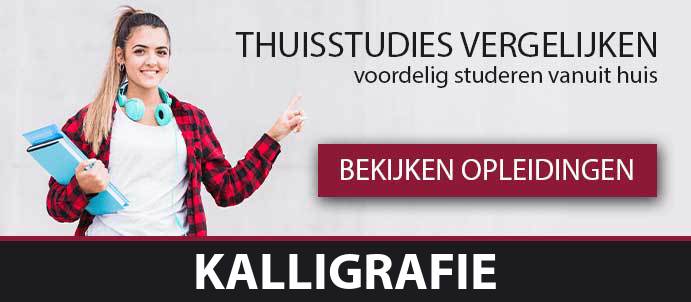 thuisstudie-cursussen-kalligrafie