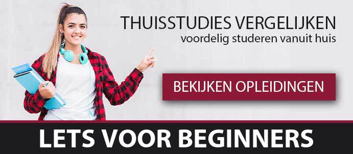 thuisstudie-cursussen-lets-voor-beginners