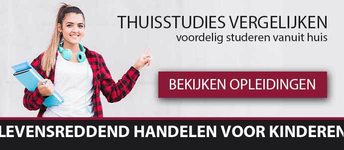 thuisstudie-cursussen-levensreddend-handelen-voor-kinderen