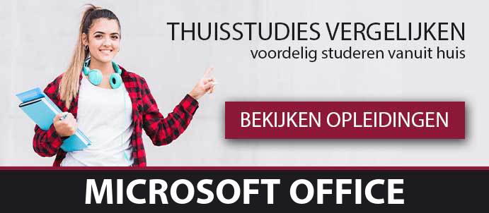 thuisstudie-cursussen-microsoft-office