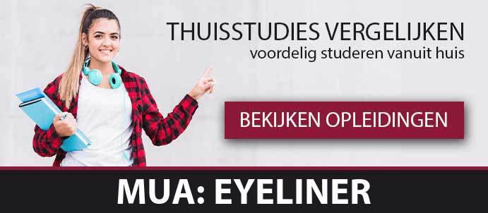 thuisstudie-cursussen-mua-eyeliner