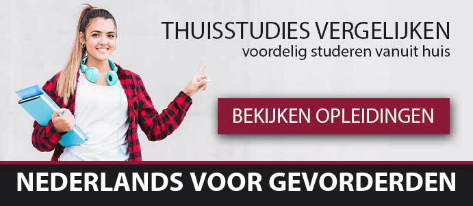 thuisstudie-cursussen-nederlands-voor-gevorderden