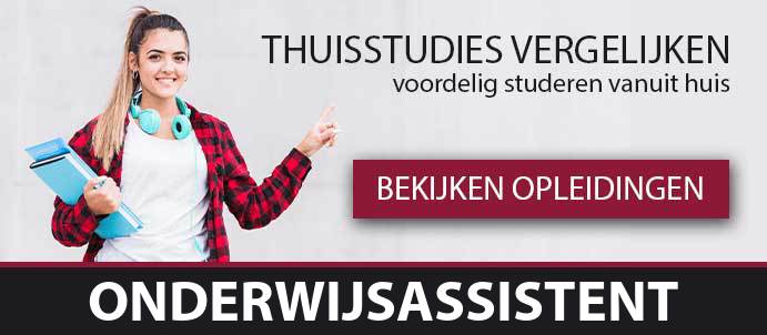 thuisstudie-cursussen-onderwijsassistent