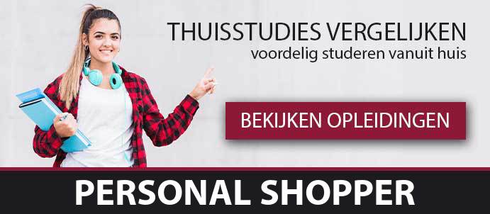 thuisstudie-cursussen-personal-shopper