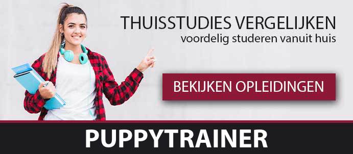 thuisstudie-cursussen-puppytrainer