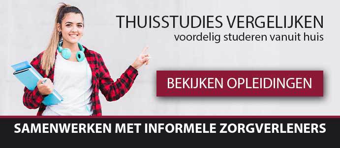 thuisstudie-cursussen-samenwerken-met-informele-zorgverleners