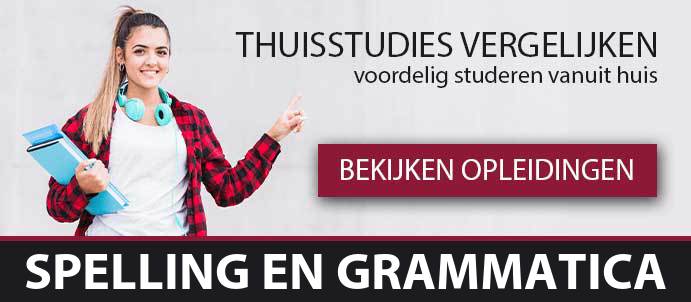 thuisstudie-cursussen-spelling-en-grammatica