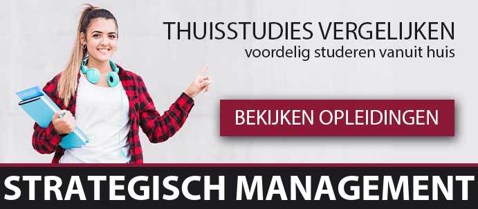 thuisstudie-cursussen-strategisch-management