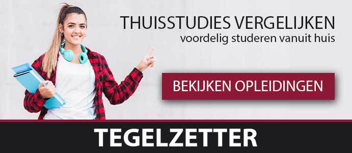 thuisstudie-cursussen-tegelzetter