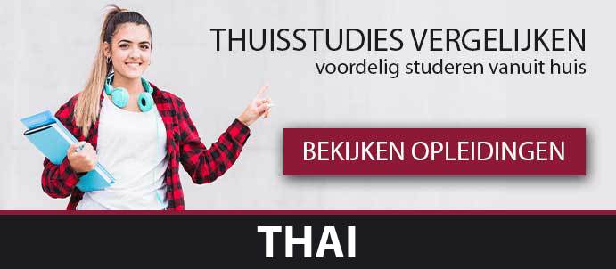 thuisstudie-cursussen-thai