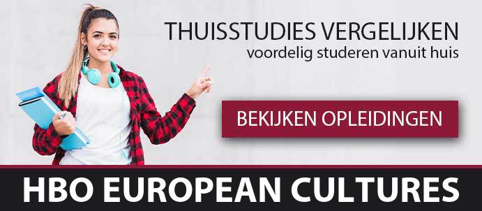 thuisstudie-hbo-european-cultures