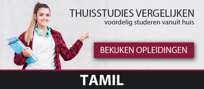 thuisstudie-talen-cursus-tamil