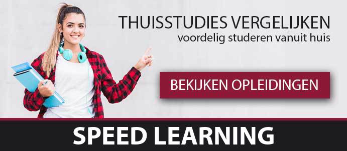 thuisstudie-talen-speed-learning